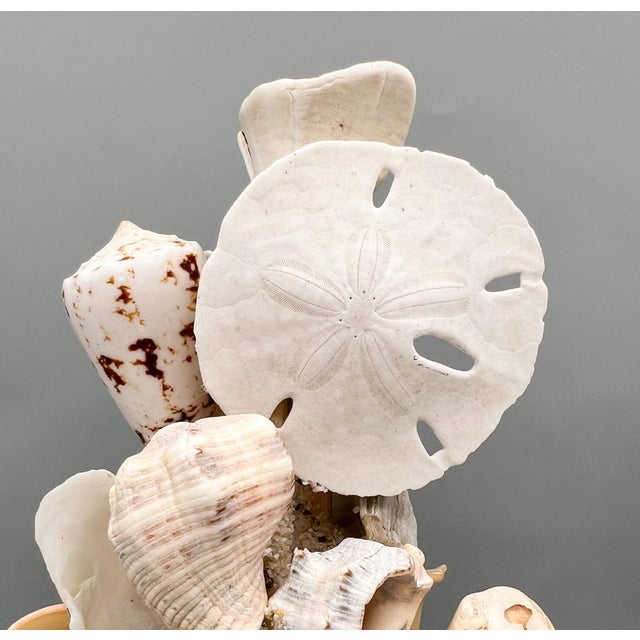 Pair of Coastal Shell Topiary Urn Topiary Sculptures by Artist – Coastal / Organic Modern For Sale - Image 9 of 17