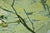Scarcity Abstract Reproduction Print For Sale - Image 4 of 7