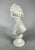 After Jean-Antoine Houdon, Bust of Diana, 19th Century, Marble For Sale - Image 5 of 9