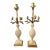 1950s Alabaster Balustraude Gilt Tole Flower Table Lamp - a Pair For Sale