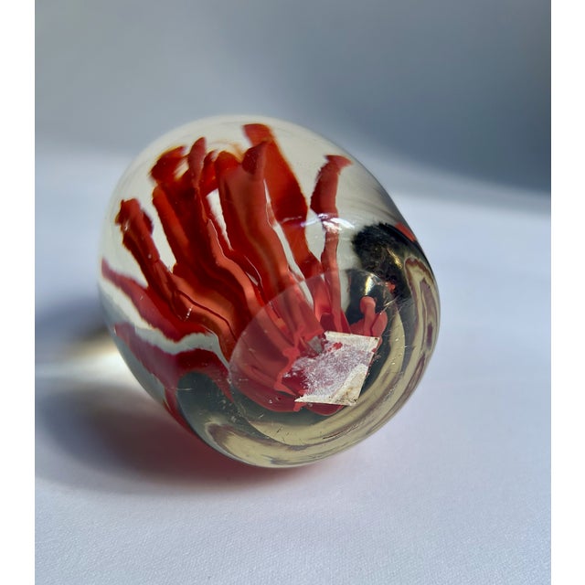 Fulvio Bianconi Murano Style Coral Paper Weight For Sale - Image 14 of 17