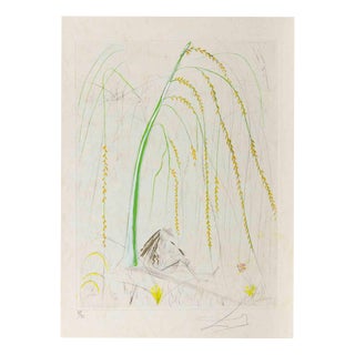 Salvador Dali, La Saule Pleureur (Weeping Willow), Etching, 1968 For Sale