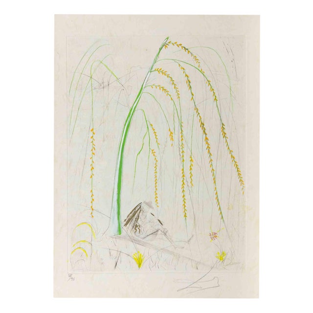 Salvador Dali, La Saule Pleureur (Weeping Willow), Etching, 1968 For Sale