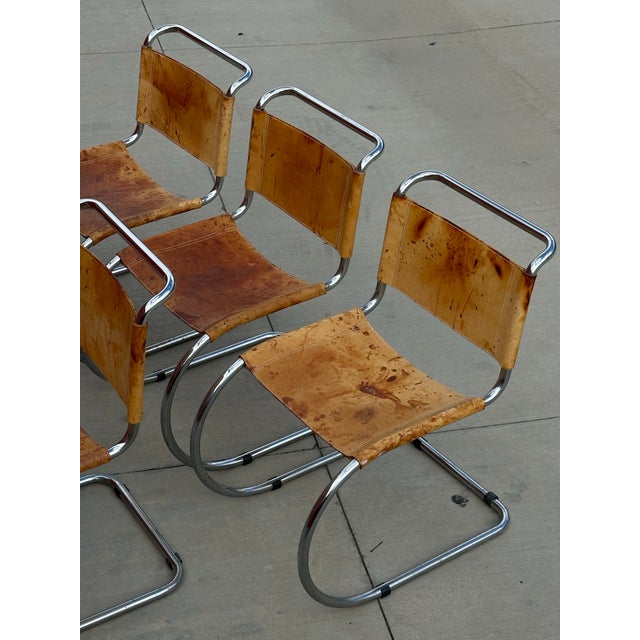 Mies Van der Rohe 1990s Attributed to Mies Van Der Rohe Cantilever Chair-First Edition For Sale - Image 4 of 5