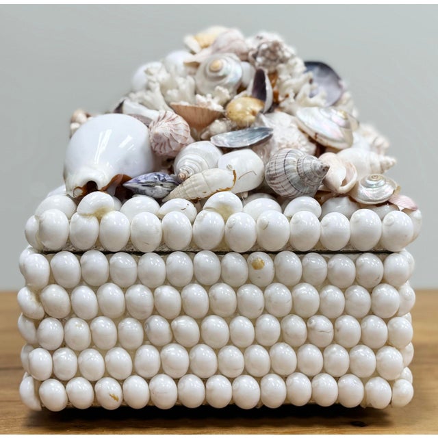 Ivory Large Shell Encrusted Lidded Box For Sale - Image 8 of 12