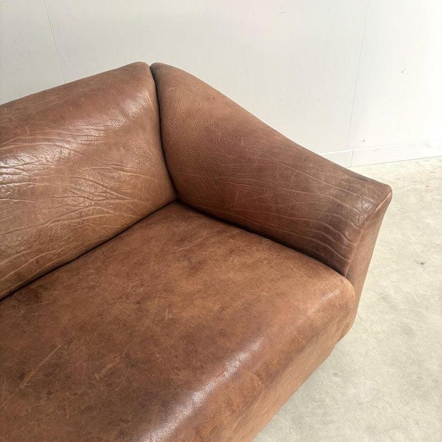 Animal Skin Vintage Model DS47 Sofa from de Sede, 1970s For Sale - Image 7 of 12