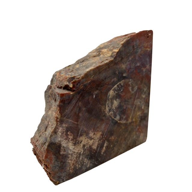 Contemporary 1950s Arizona Petrified Wood Bookends For Sale - Image 3 of 6