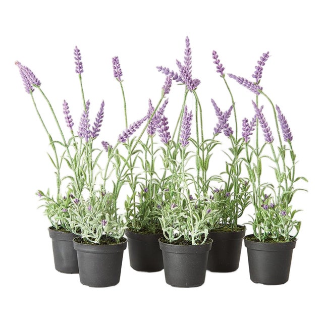 French Lavender Drop-In 13", Set Of 6 For Sale