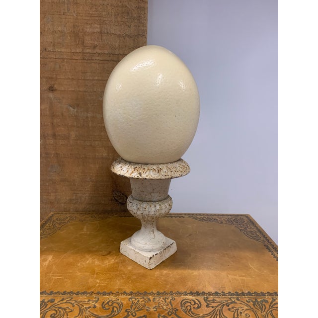 Petite Antique French Cast Iron Urn For Sale In Dallas - Image 6 of 6