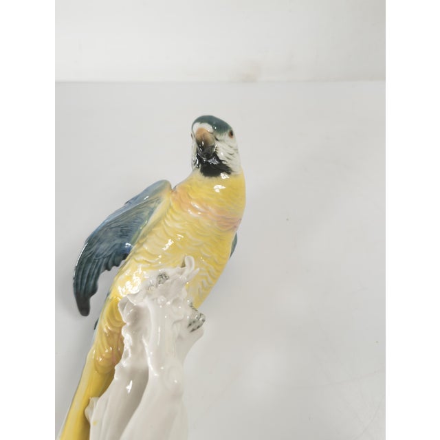 Blue Early 20th Century German Porcelain Macaw Parrot Figure by Karl Ens For Sale - Image 8 of 10