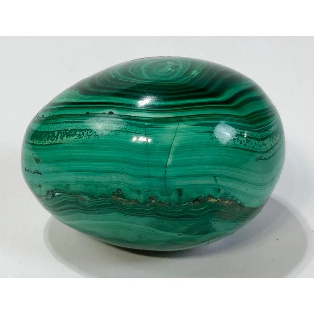 Stunning richly colored polished malachite stone egg paper weight. Slightly flattened on one side to rest. Could also be...