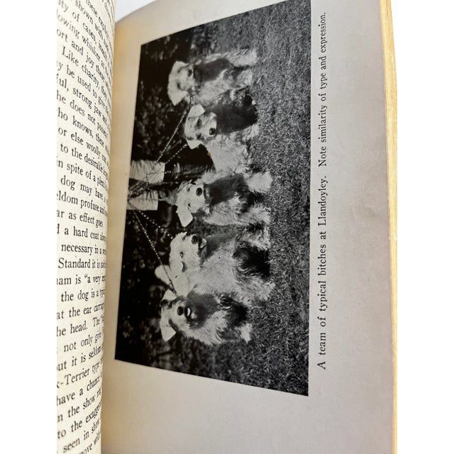 1922 Cairn and Sealyham Terriers Books Set/2 For Sale In New York - Image 6 of 11