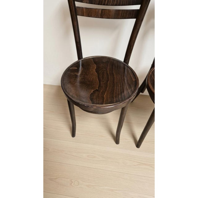 Vintage Ton Wooden Dining Chairs, 1940s, Set of 4 For Sale - Image 13 of 16