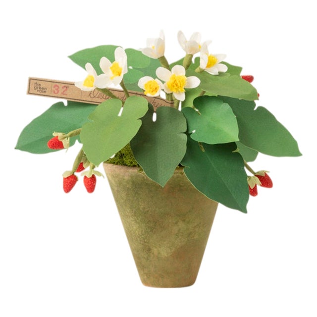 The Green Vase Mini Strawberry Plant For Sale