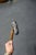 Antique English Country Walking Stick With Deer Antler and Silver Handle For Sale - Image 14 of 16