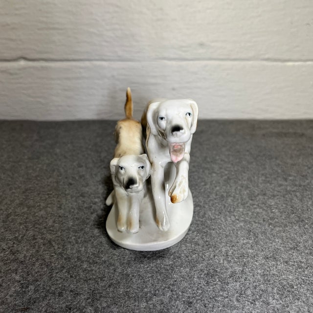 Portrayal of two Borzoi dogs running like the wind. Glossy white background with colors of brown, tan, and black.