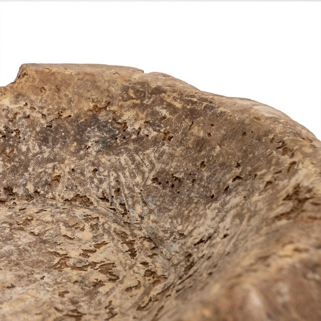 Antique Turkish Burled Wood Root Bowl For Sale - Image 11 of 11