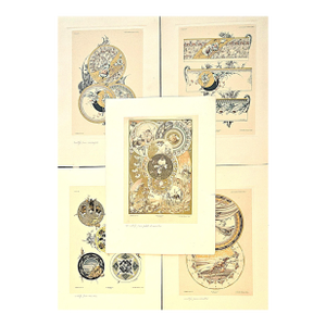 1889 Set of 5-French Art Nouveau Chromolithographs by Habert-Dys-Nature Motifs