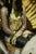 Figurative Siren in Green Gold by Nadezda | Oil on panel of a woman seated with a fan backdrop For Sale - Image 3 of 5