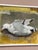 Ingeborg Stragnell, Seagull, 1960s, Oil Painting on Canvas, Framed For Sale - Image 12 of 18