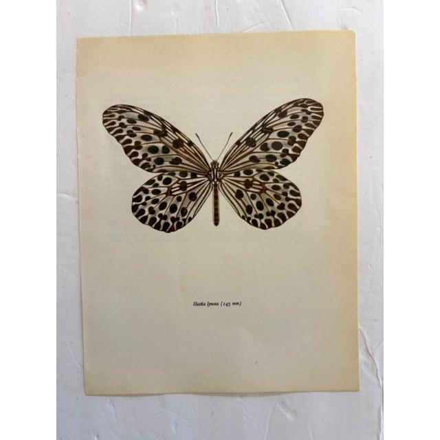Up for sale is this gorgeous lithograph by F. Prochazka, published in Great Britain in 1965. It is in excellent, gently-...