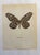 Up for sale is this gorgeous lithograph by F. Prochazka, published in Great Britain in 1965. It is in excellent, gently-...