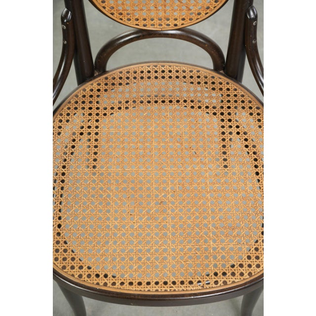 Vintage Long John Webbing Dining Chairs from Thonet, Set of 6 For Sale - Image 9 of 18