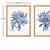 Art Deco Banksia Bouquet Prints, Set Of 2 For Sale - Image 3 of 5