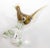 Italian Murano Art Glass Pheasant Bird Sculpture 1960s For Sale - Image 11 of 12