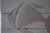 2000 - 2009 Metal Fish Skeleton from Jean-Claude Giorgi, 2000s For Sale - Image 5 of 13