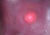 Anna Maria Caboni, Red Light, 2010, Acrylic For Sale - Image 4 of 4