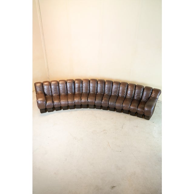 DS600 Non-Stop Snake Sofa in Brown Leather by Ueli Berger for de Sede, 1970s, Set of 16 For Sale - Image 11 of 18