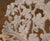 Circa 1950s — By J. F. Day & Co. Cast Iron Grapevine Garden Suite, 5 Pieces, Attributed For Sale - Image 6 of 13