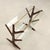 Vintage Wooden and Glass Magazine Rack, 1950s For Sale - Image 6 of 11