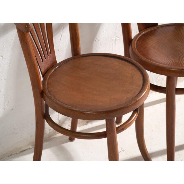 Bentwood Chairs in the style of Thonet, Hungary, 1960, Set of 2 For Sale - Image 4 of 15