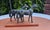 Wood Vintage Figurine of Two Horses, 1960s For Sale - Image 7 of 7