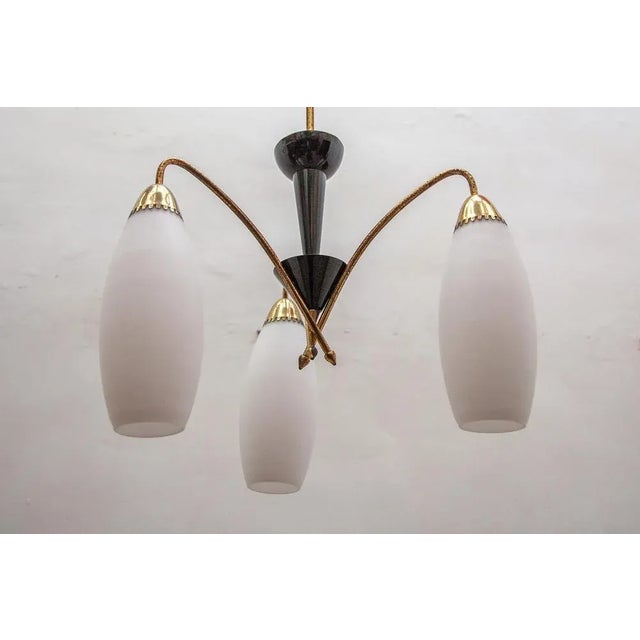 Metal Opaline Glass Suspension Lamp, 1950s For Sale - Image 7 of 13