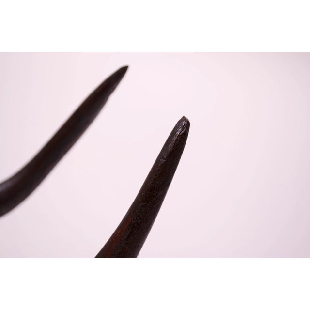 Wall-Mounted Hand-Carved Wooden Antelope Head For Sale - Image 11 of 13