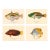 Atelier Aria Lumae Albert Baldwin 1903 Hawaiian Fish Natural History Gallery Board Set For Sale