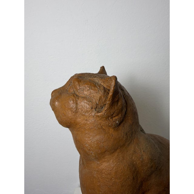 Montelupo Fiorentino Tuscan Artist, Sculpture of a Seated Cat, 19th Century, Terracotta For Sale - Image 12 of 18