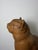 Montelupo Fiorentino Tuscan Artist, Sculpture of a Seated Cat, 19th Century, Terracotta For Sale - Image 12 of 18