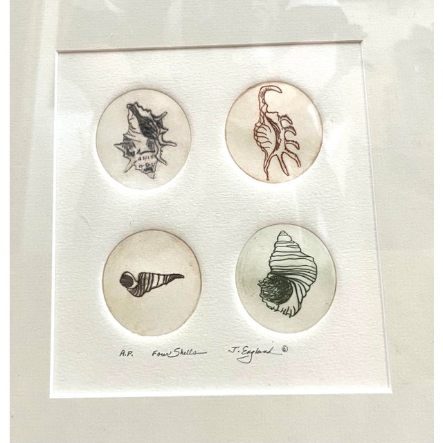 Nautical Square Drawing “Four Shells” - Artist Signed as J.England For Sale - Image 4 of 4