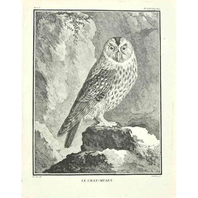 The Chat-Huant is an Etching Realized by Carl Guttenberg in 1771. Signed in flat. The Artwork Belongs to the Suite...