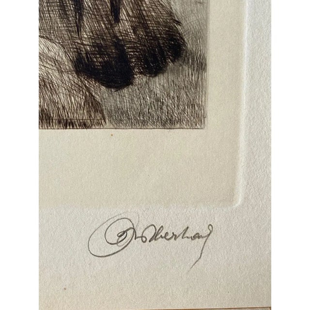 Curt Meyer-Eberhardt (1895–1977) Portrait of an Eagle Etching With Aquatint, C. 1930s For Sale - Image 9 of 12