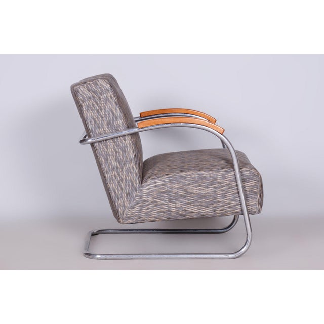 1930s Czech Bauhaus Armchair in Chrome and Beech attributed to Mücke Melder, 1930s For Sale - Image 5 of 10