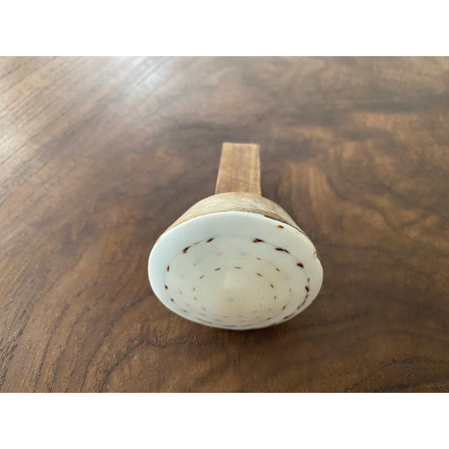 Andrianna Shamaris Shell and Teak Wood Door Knob For Sale - Image 13 of 18