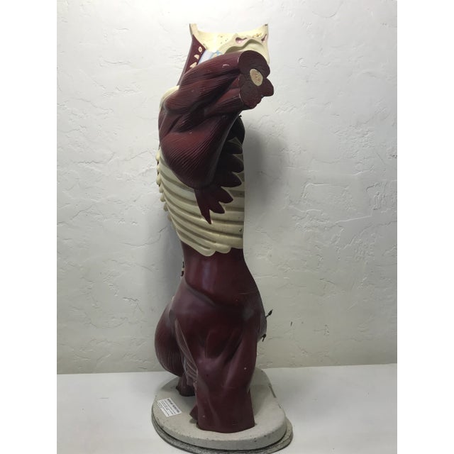 Nystrom Mid-Century Anatomical "Life Like" Medical Model of the Male Torso For Sale - Image 9 of 11