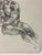 This original drawing is signed Evan Skladany The mixed media is graphite & charcoal This drawing is on Bristol board...