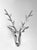 Large cast polished aluminum metal Deer Stag antler head wall sculpture.