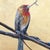 Impressionist Duke Windsor, "Spring's Ahead", Impressionist Bird Painting With Acrylic and Gold Leaf For Sale - Image 3 of 3